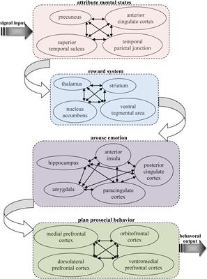 The Neural Basis of and a Common Neural Circuitry in Different Types of Pro-social Behavior